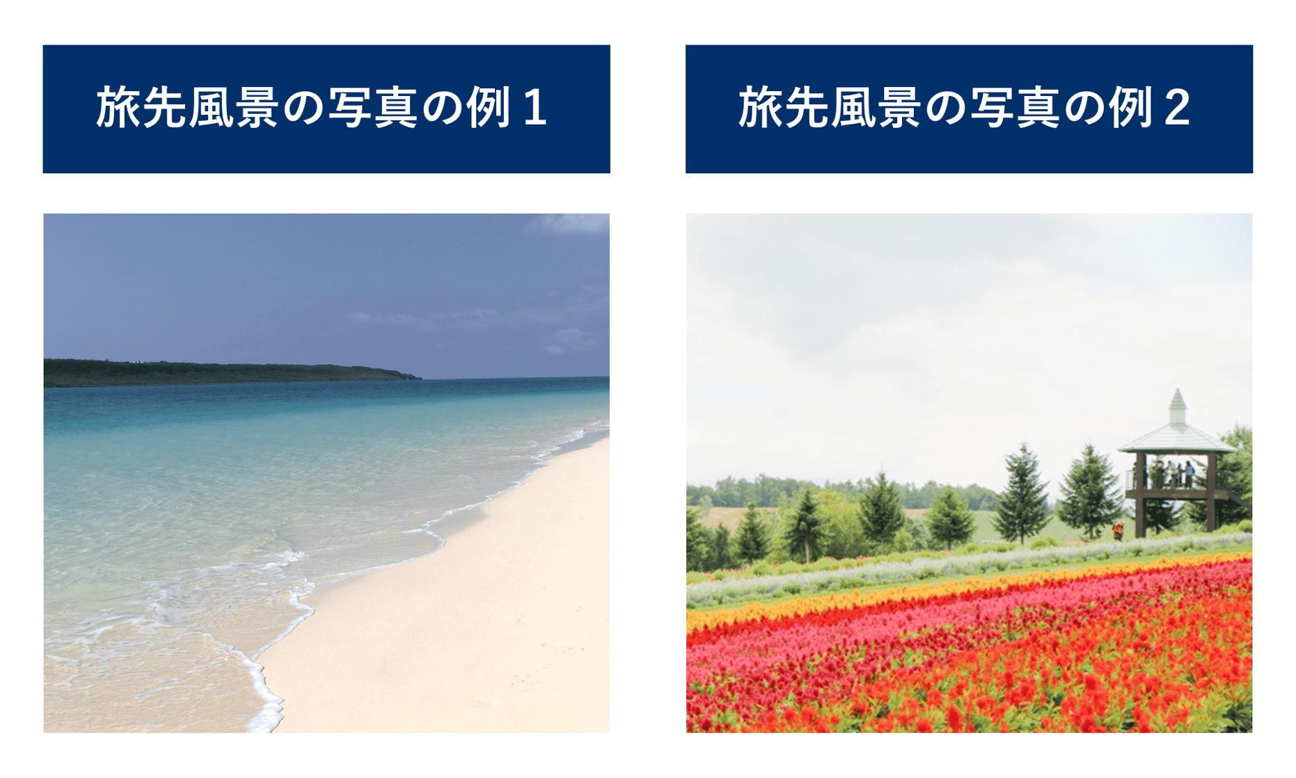 旅先の風景の写真の二つの例（沖縄と富良野）